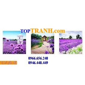 Tranh gắn đá oải hương
